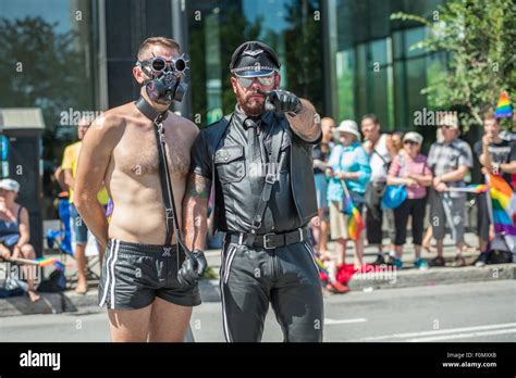 Gay BDSM videos .